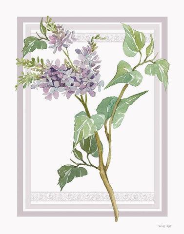 Lilacs V White Modern Wood Framed Art Print with Double Matting by Jacobs, Cindy