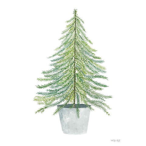 Fir Tree in Pot       White Modern Wood Framed Art Print by Jacobs, Cindy