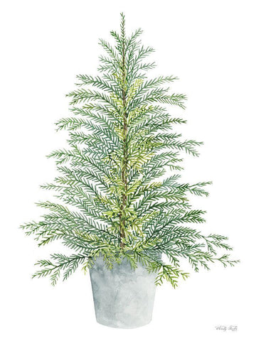 Spruce Tree in Pot White Modern Wood Framed Art Print with Double Matting by Jacobs, Cindy