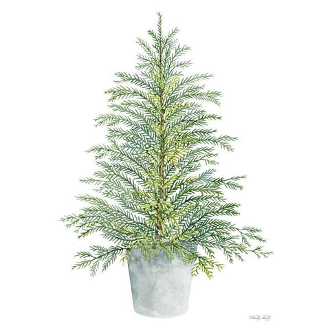 Spruce Tree in Pot Black Modern Wood Framed Art Print with Double Matting by Jacobs, Cindy