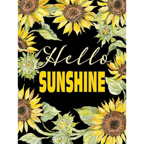 Hello Sunshine Black Modern Wood Framed Art Print with Double Matting by Jacobs, Cindy