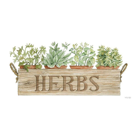 Crate of Herbs Black Modern Wood Framed Art Print with Double Matting by Jacobs, Cindy