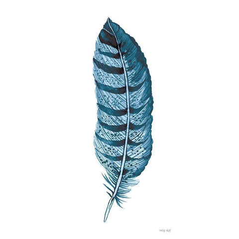 Blue Feather III Black Modern Wood Framed Art Print with Double Matting by Jacobs, Cindy