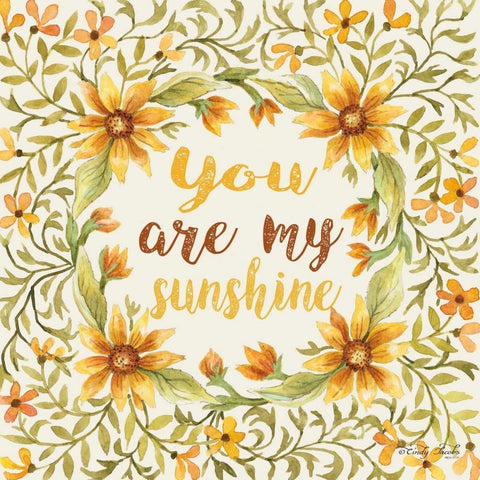 You Are My Sunshine Black Modern Wood Framed Art Print with Double Matting by Jacobs, Cindy