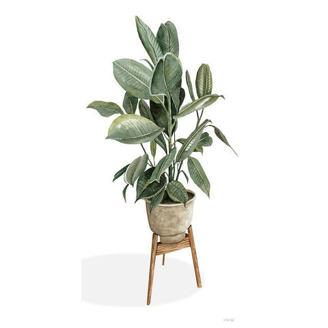 Potted Plant Black Modern Wood Framed Art Print with Double Matting by Jacobs, Cindy