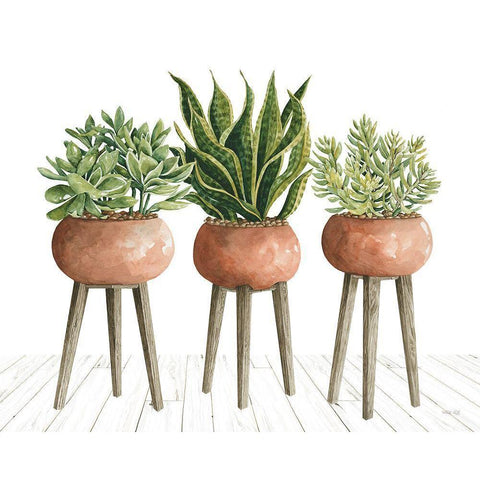 Clay Pot Trio of Plants Black Modern Wood Framed Art Print with Double Matting by Jacobs, Cindy