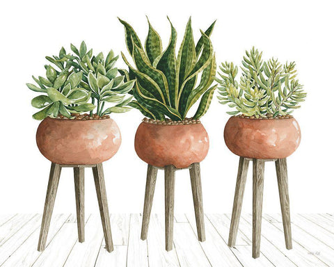 Clay Pot Trio of Plants White Modern Wood Framed Art Print with Double Matting by Jacobs, Cindy