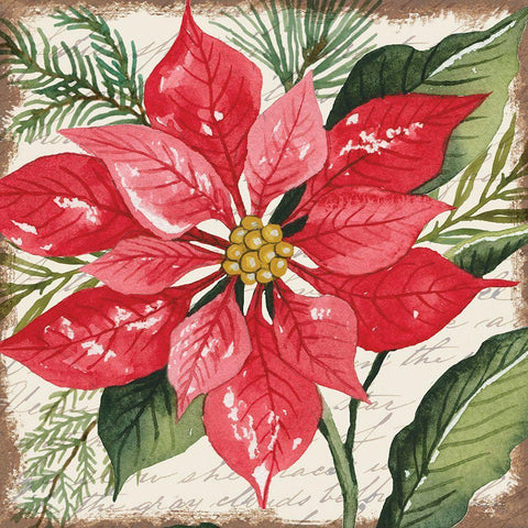 Red Poinsettia Botanical Black Ornate Wood Framed Art Print with Double Matting by Jacobs, Cindy