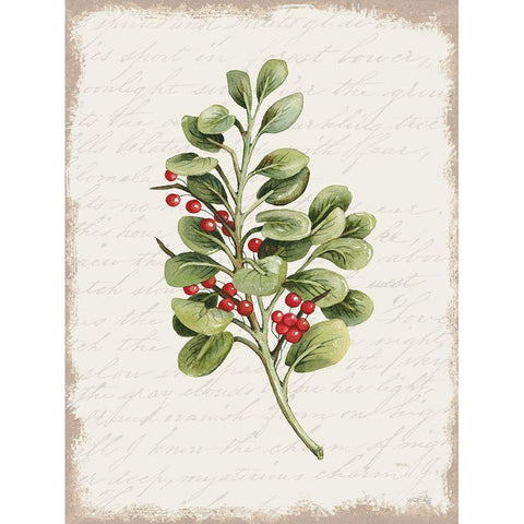 Berries Christmas Botanical Gold Ornate Wood Framed Art Print with Double Matting by Jacobs, Cindy