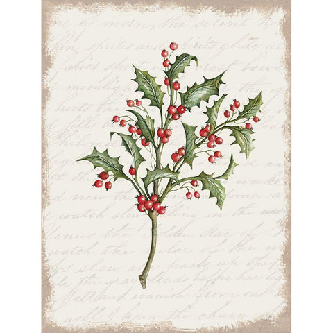 Holly Christmas Botanical White Modern Wood Framed Art Print by Jacobs, Cindy