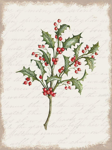 Holly Christmas Botanical White Modern Wood Framed Art Print with Double Matting by Jacobs, Cindy