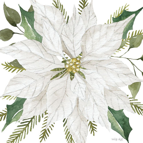 White Poinsettia White Modern Wood Framed Art Print with Double Matting by Jacobs, Cindy