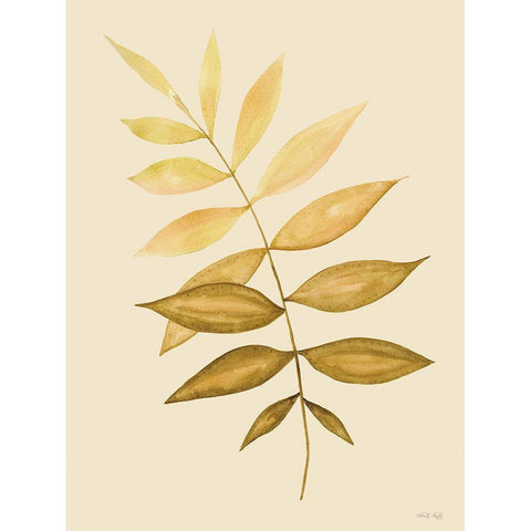 Golden Fern Black Modern Wood Framed Art Print with Double Matting by Jacobs, Cindy