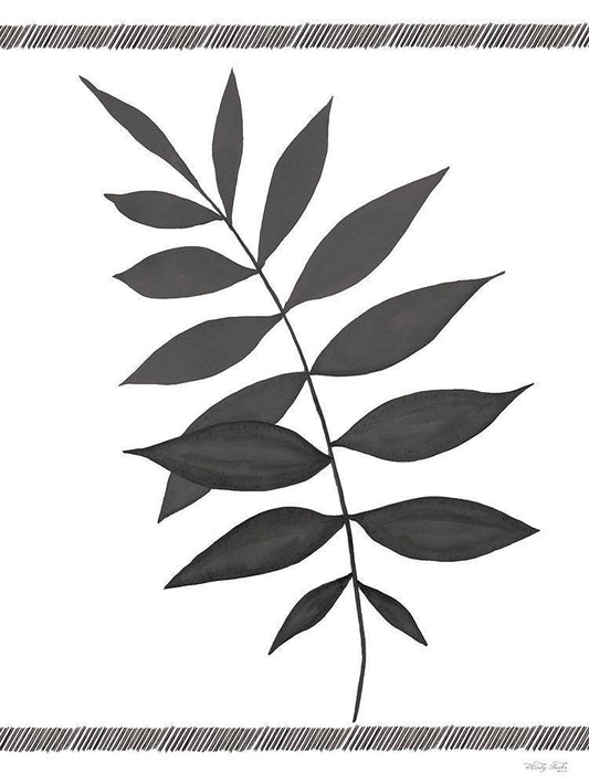 Image Only