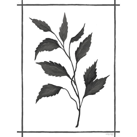 Leaf Collection III Black Modern Wood Framed Art Print with Double Matting by Jacobs, Cindy