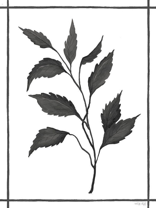 Image Only