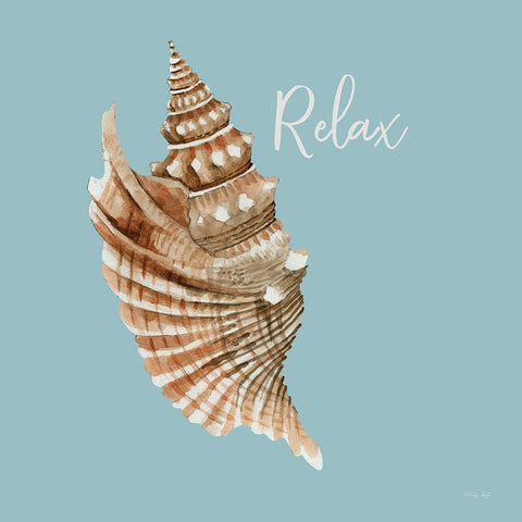 Relax Seashell Black Ornate Wood Framed Art Print with Double Matting by Jacobs, Cindy