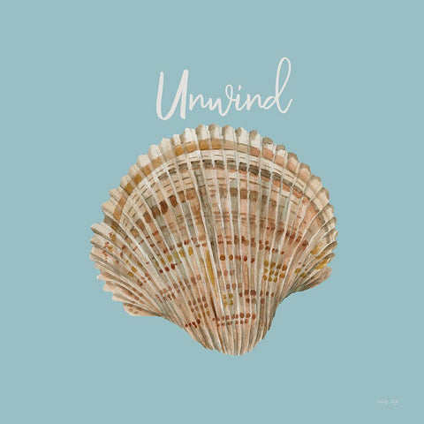 Unwind Seashell Black Modern Wood Framed Art Print with Double Matting by Jacobs, Cindy