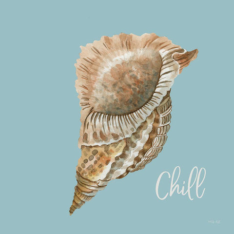 Chill Seashell White Modern Wood Framed Art Print with Double Matting by Jacobs, Cindy