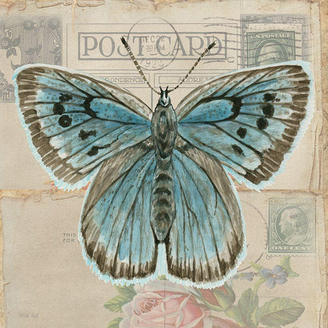 Postcard Butterfly I Black Ornate Wood Framed Art Print with Double Matting by Jacobs, Cindy