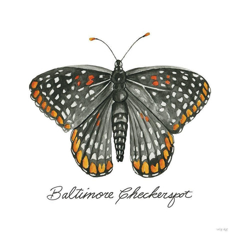 Baltimore Checkerspot White Modern Wood Framed Art Print by Jacobs, Cindy