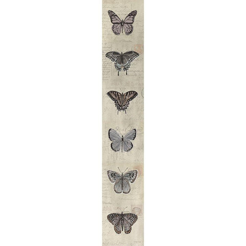 Row of Butterflies II Black Modern Wood Framed Art Print with Double Matting by Jacobs, Cindy