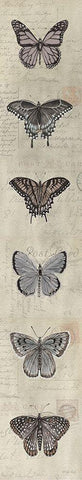 Row of Butterflies II Black Ornate Wood Framed Art Print with Double Matting by Jacobs, Cindy