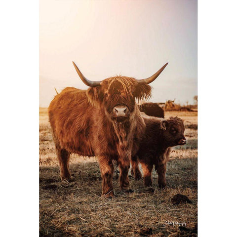 Highland Mom and Daughter I White Modern Wood Framed Art Print by Diener, Dakota