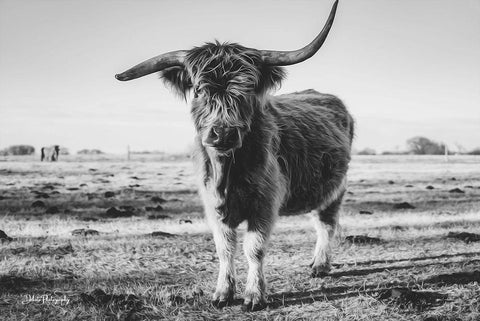 Black and White Side Shot Black Ornate Wood Framed Art Print with Double Matting by Diener, Dakota