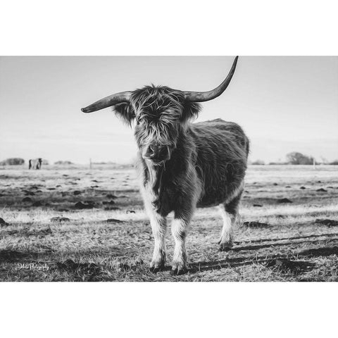 Black and White Side Shot White Modern Wood Framed Art Print by Diener, Dakota