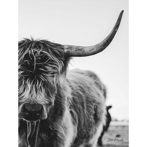 The Cow Black Modern Wood Framed Art Print with Double Matting by Diener, Dakota