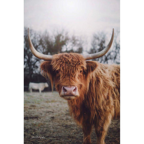 Selfie Pose I Gold Ornate Wood Framed Art Print with Double Matting by Diener, Dakota