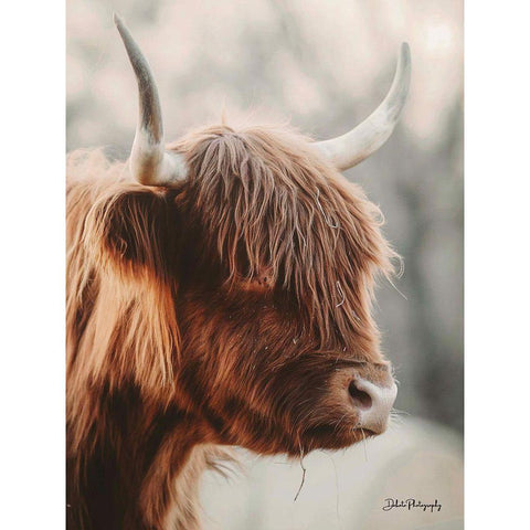 Highland Pose Black Modern Wood Framed Art Print with Double Matting by Diener, Dakota