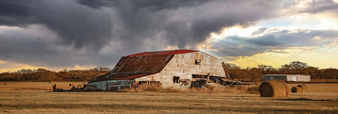 Storm is Coming Black Ornate Wood Framed Art Print with Double Matting by Diener, Dakota