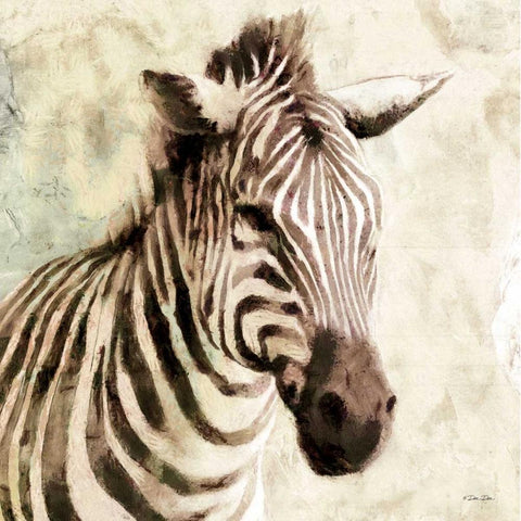 The Zebra Black Modern Wood Framed Art Print with Double Matting by Dee Dee