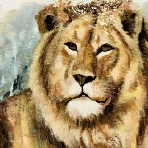 The Lion Black Modern Wood Framed Art Print with Double Matting by Dee Dee
