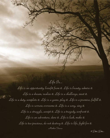 Life Is... White Modern Wood Framed Art Print with Double Matting by Dee Dee