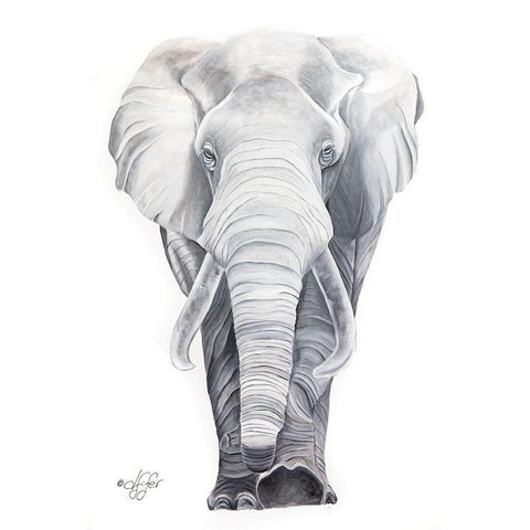 What Big Ears I Have Black Modern Wood Framed Art Print with Double Matting by Fifer, Diane