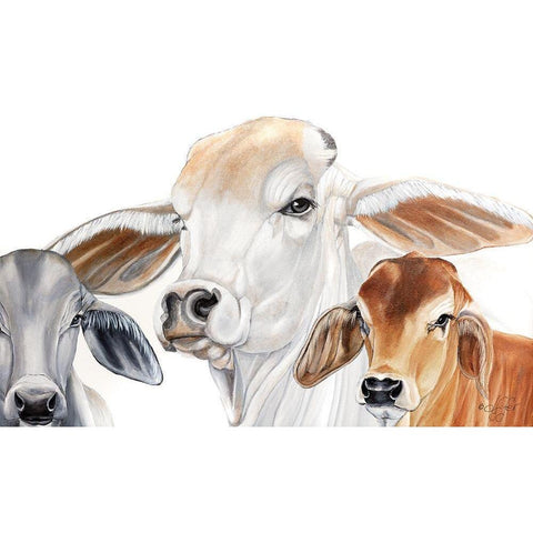 Ranch Life   Black Modern Wood Framed Art Print with Double Matting by Fifer, Diane