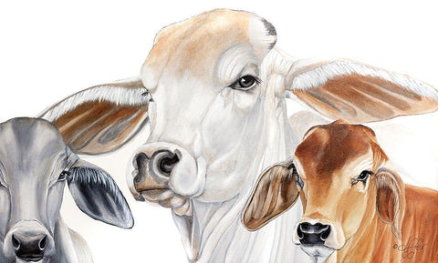 Ranch Life   White Modern Wood Framed Art Print with Double Matting by Fifer, Diane