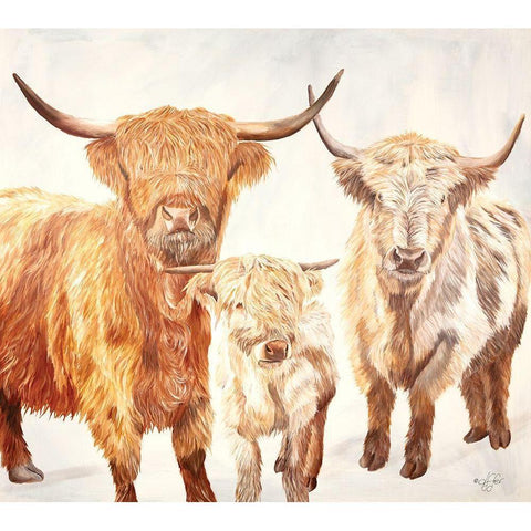 Hairy Highland Cattle Gold Ornate Wood Framed Art Print with Double Matting by Fifer, Diane