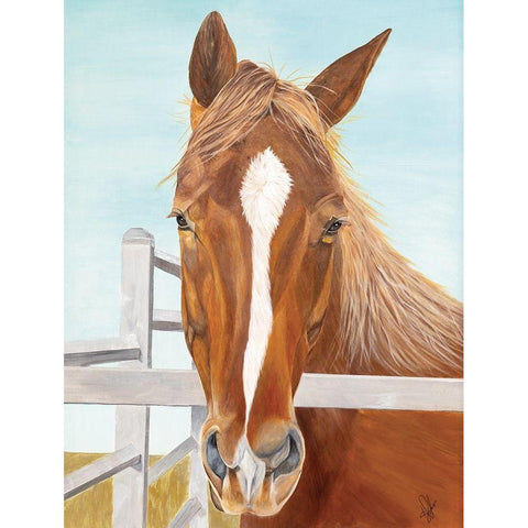 Greg White Modern Wood Framed Art Print by Fifer, Diane