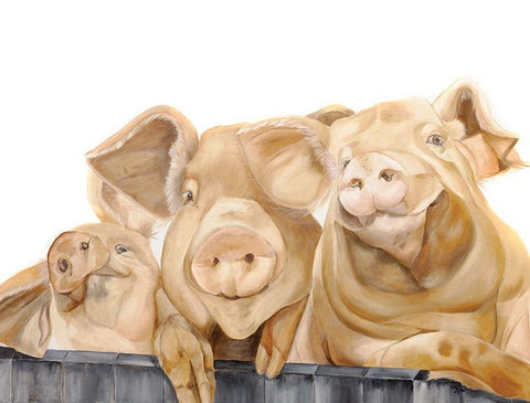 Three Pigs White Modern Wood Framed Art Print with Double Matting by Fifer, Diane