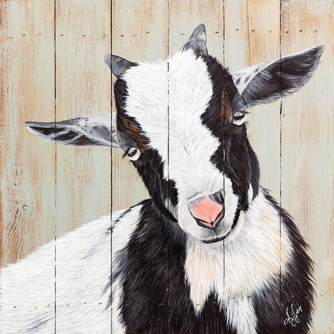 Want to Play? White Modern Wood Framed Art Print by Fifer, Diane