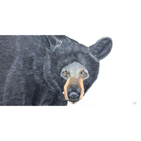 Black Bear Gold Ornate Wood Framed Art Print with Double Matting by Fifer, Diane