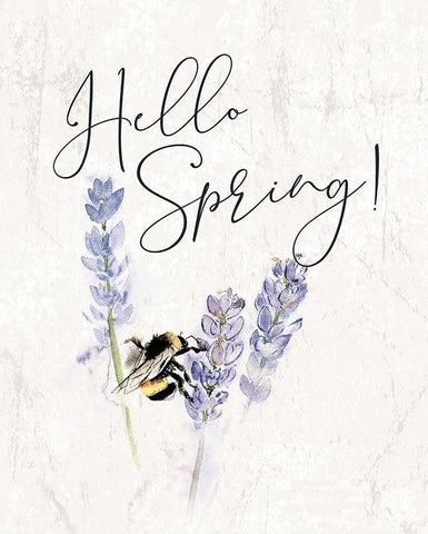 Hello Spring Bee Black Ornate Wood Framed Art Print with Double Matting by Dogwood Portfolio