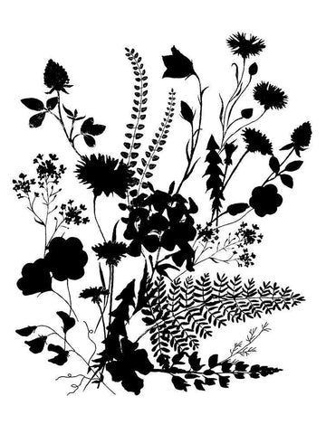 Inked Flowers Black Ornate Wood Framed Art Print with Double Matting by Dogwood Portfolio