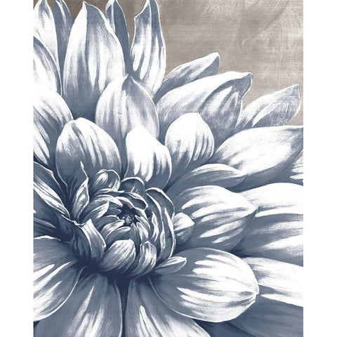 Charming Floral I Black Modern Wood Framed Art Print with Double Matting by Dogwood Portfolio