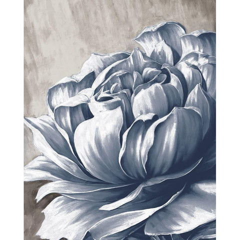 Charming Floral II Black Modern Wood Framed Art Print with Double Matting by Dogwood Portfolio