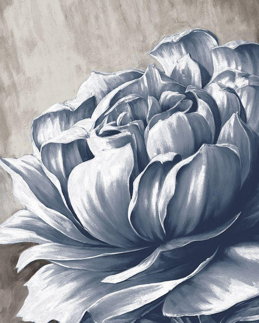 Image Only